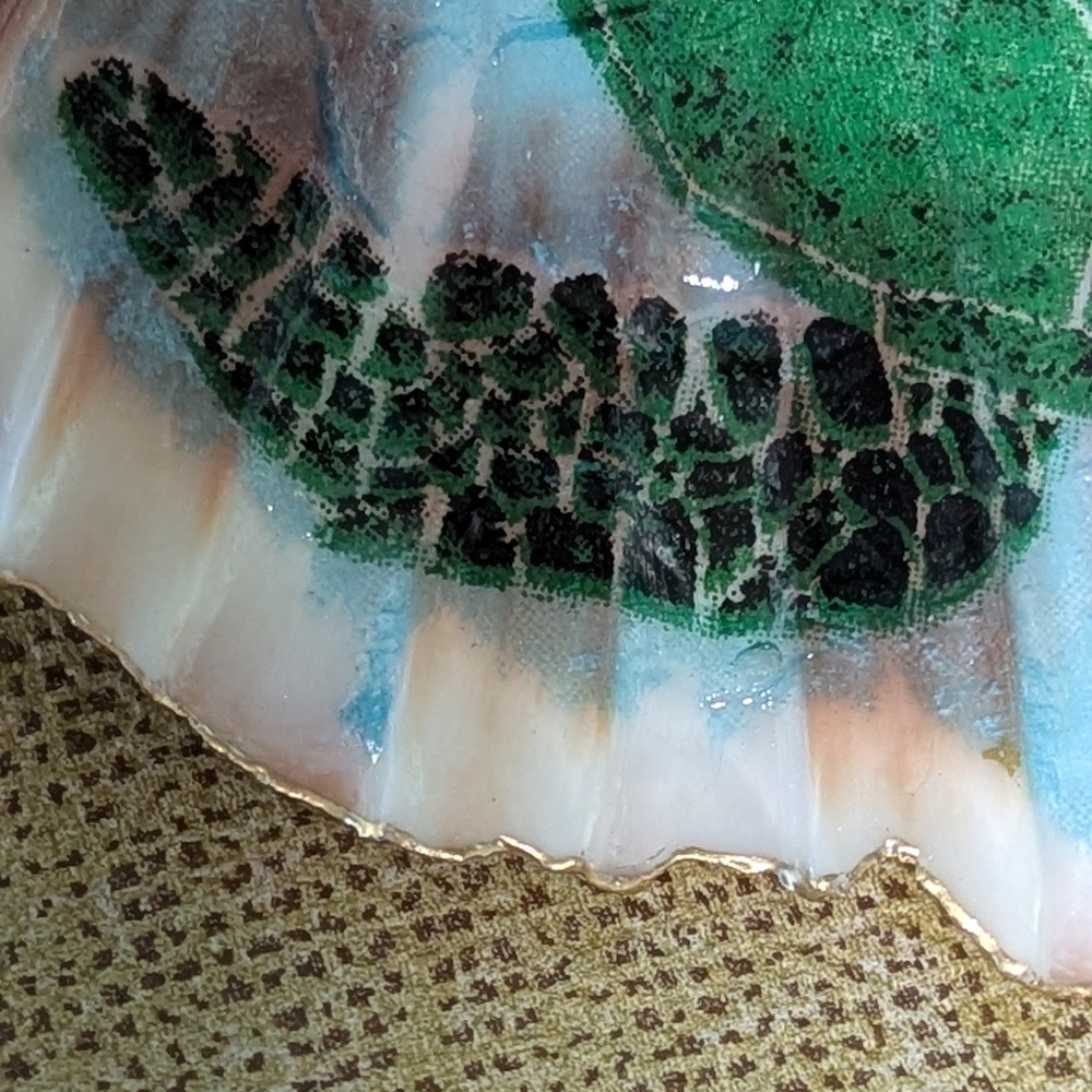 Hand Crafted Decoupaged Scallop Shell Turtle Diving On Natural Background 4.5x4 - Picture 6 of 6
